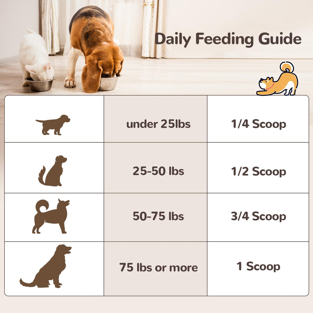 Vetriuntrix Turkey Tail powder cat-meal-mix demonstrates gut and skin wellness potential.