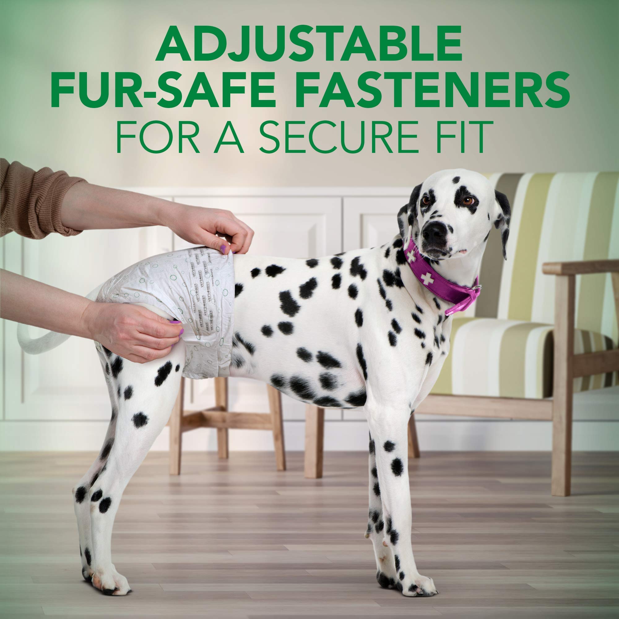 Vet's Best Comfort-Fit Large/XL on a larger dog provides comfortable coverage.