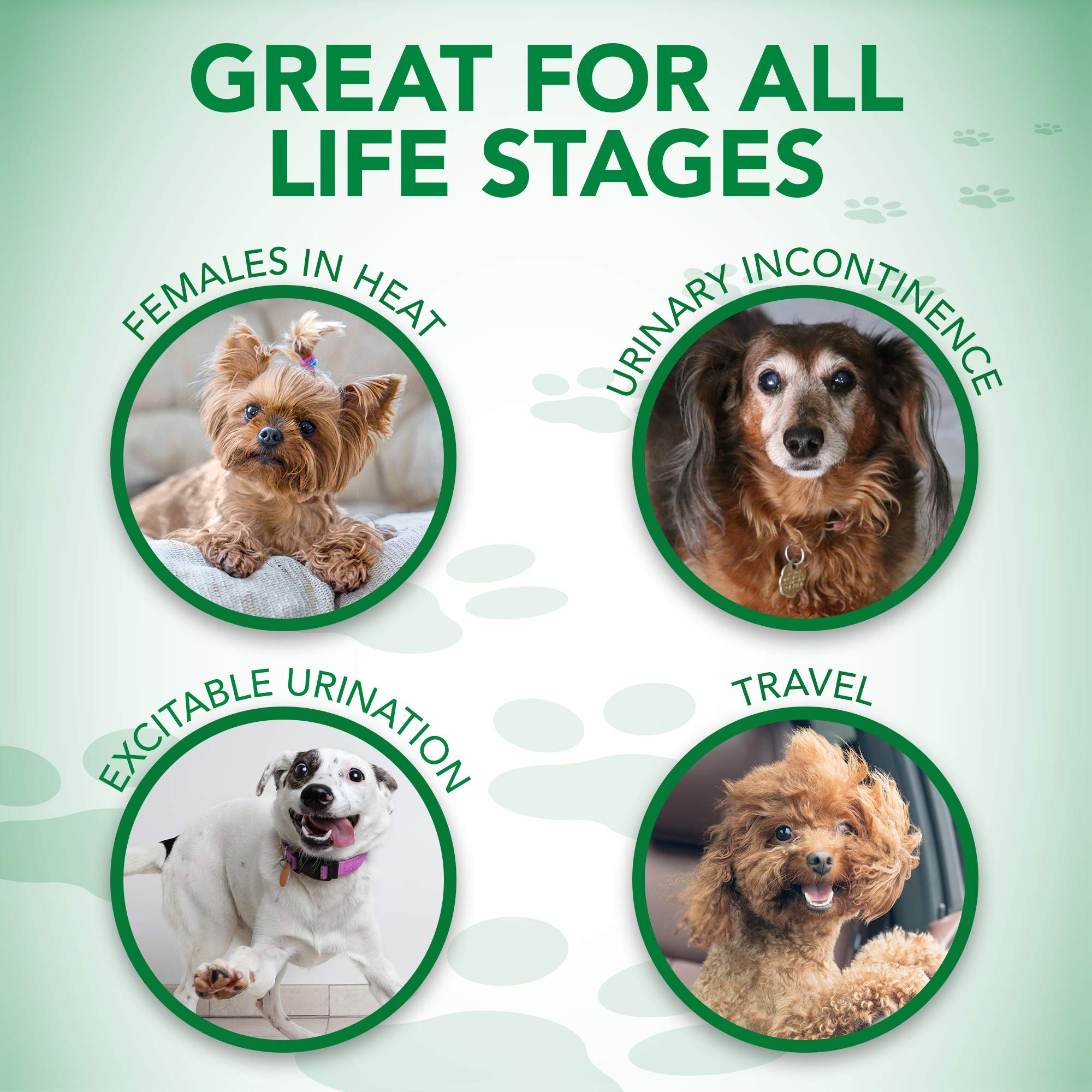 Vet's Best Comfort-Fit leak barrier helps keep the environment dry.
