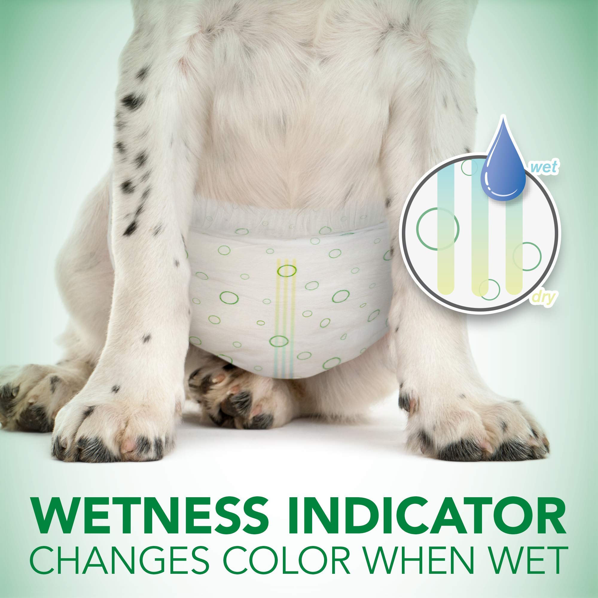 Vet's Best Comfort-Fit travel setup ready for on-the-go use.