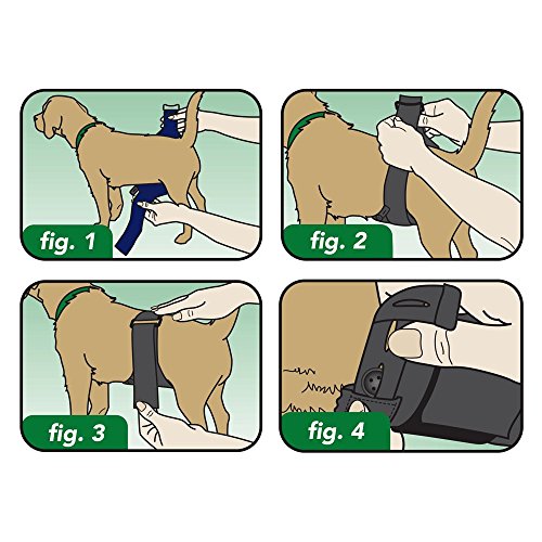 Vet's Best dog owner use case demonstrates easy cleanup and protection during daily activities.