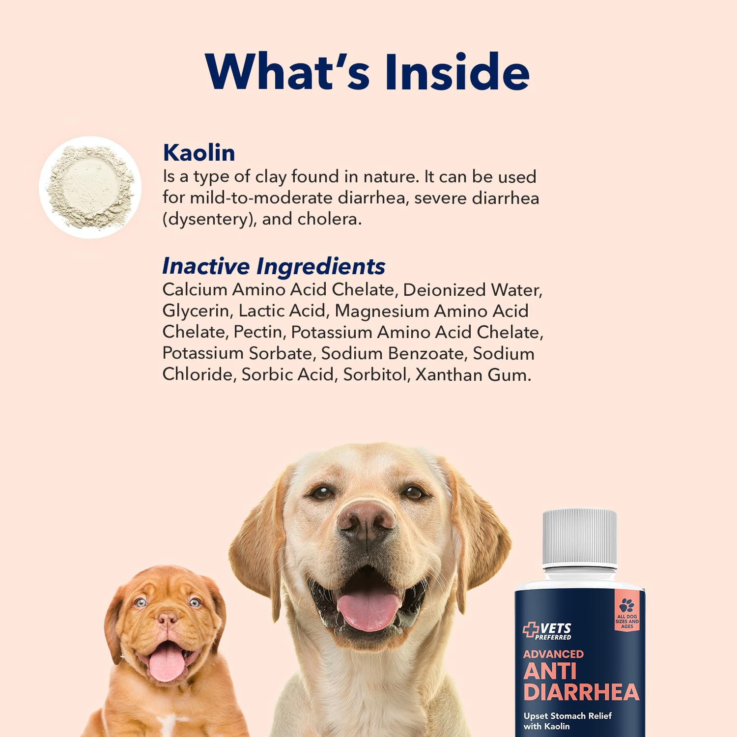Vets Preferred dog-patient-receiving-treatment depicts a gentle care moment