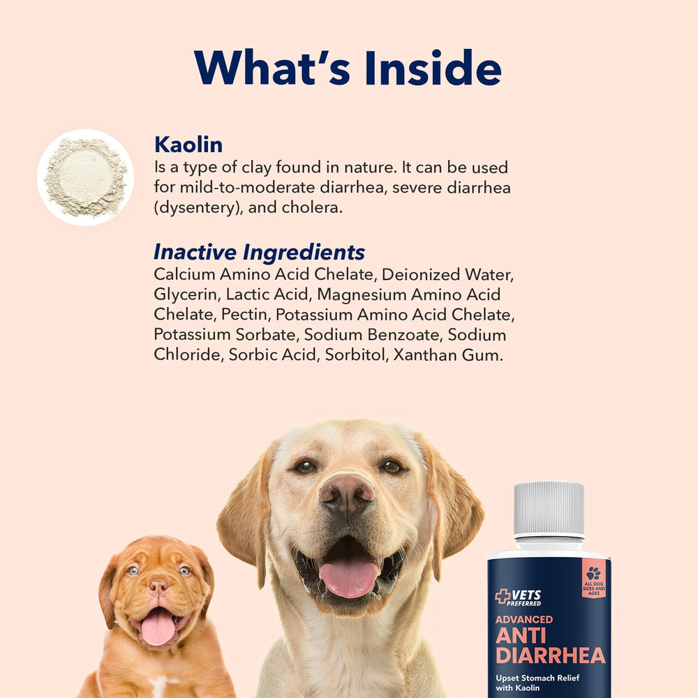 Vets Preferred dog-patient-receiving-treatment depicts a gentle care moment