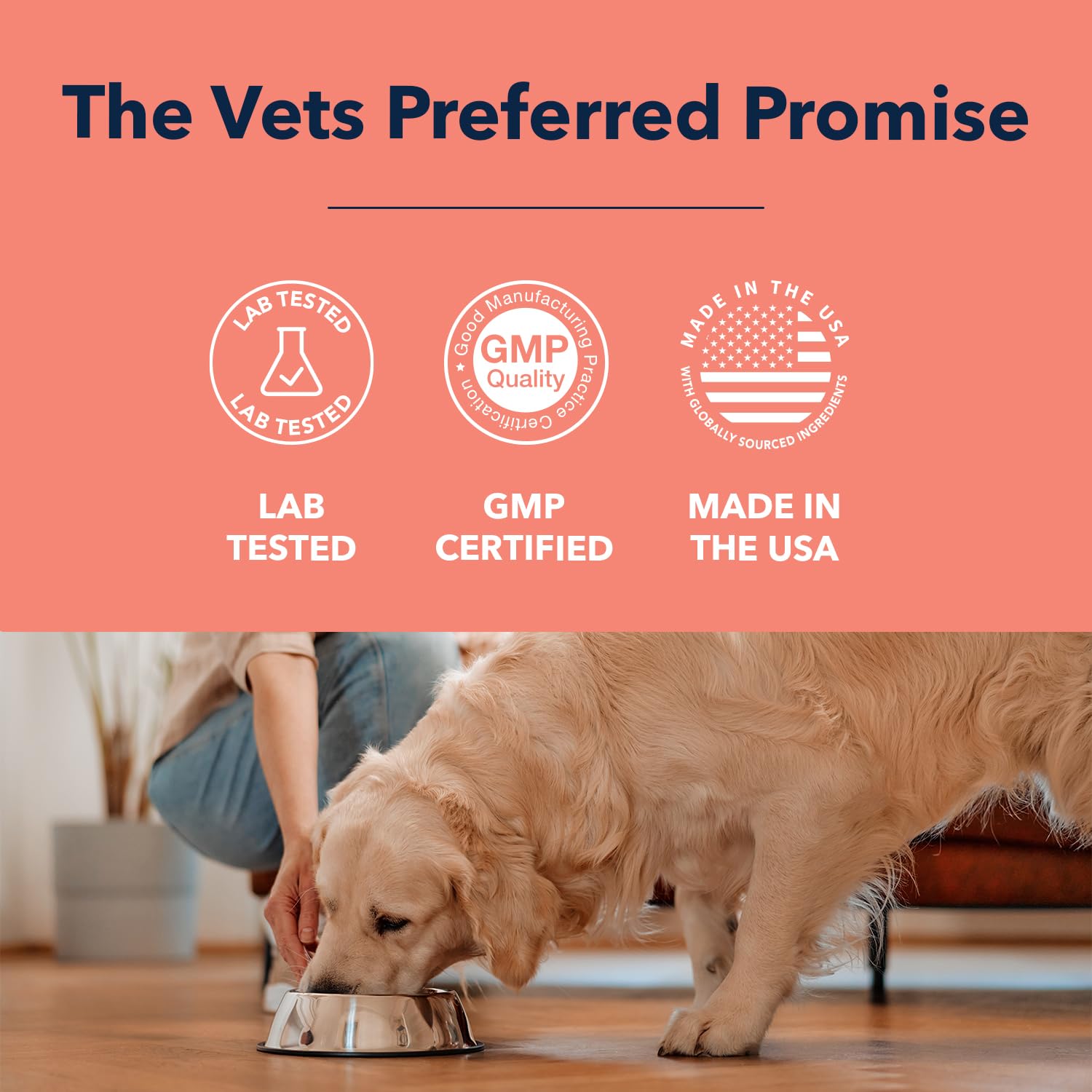 Vets Preferred fast-absorption-action implies rapid gut comfort potential