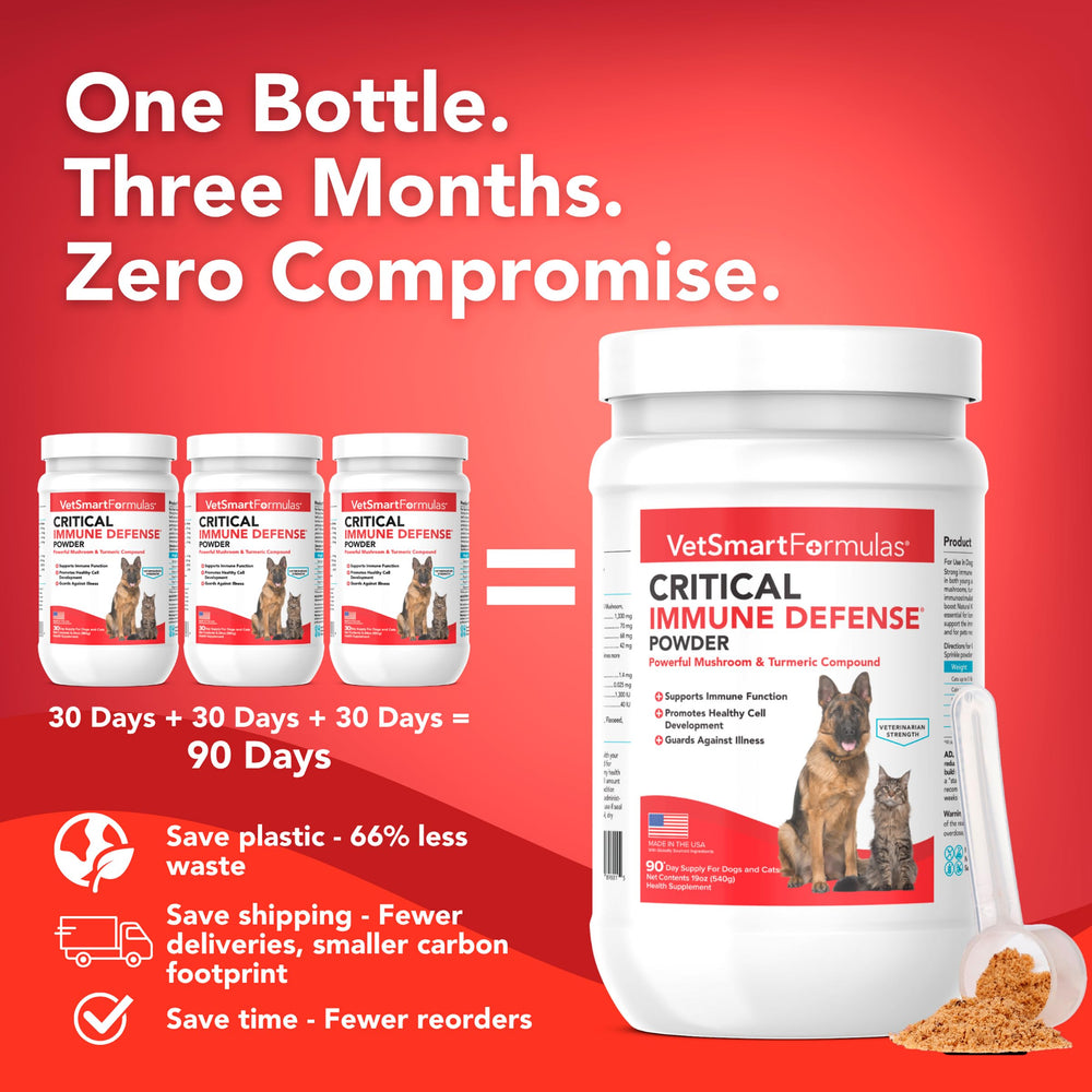 VetSmart Formulas four-mushrooms close-up highlighting the mushroom blend for immune health.