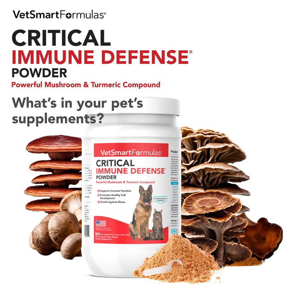 VetSmart Formulas scene with dog and cat ready to receive supplement.