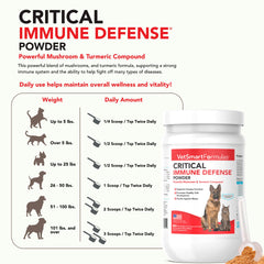 VetSmart Formulas white turmeric extract close-up signaling anti-inflammatory potential.