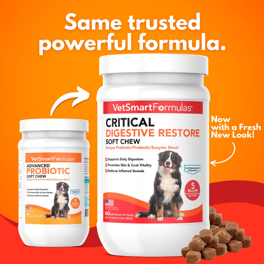 VetSmart Formulas dog soft chews closeup highlighting tasty daily probiotic