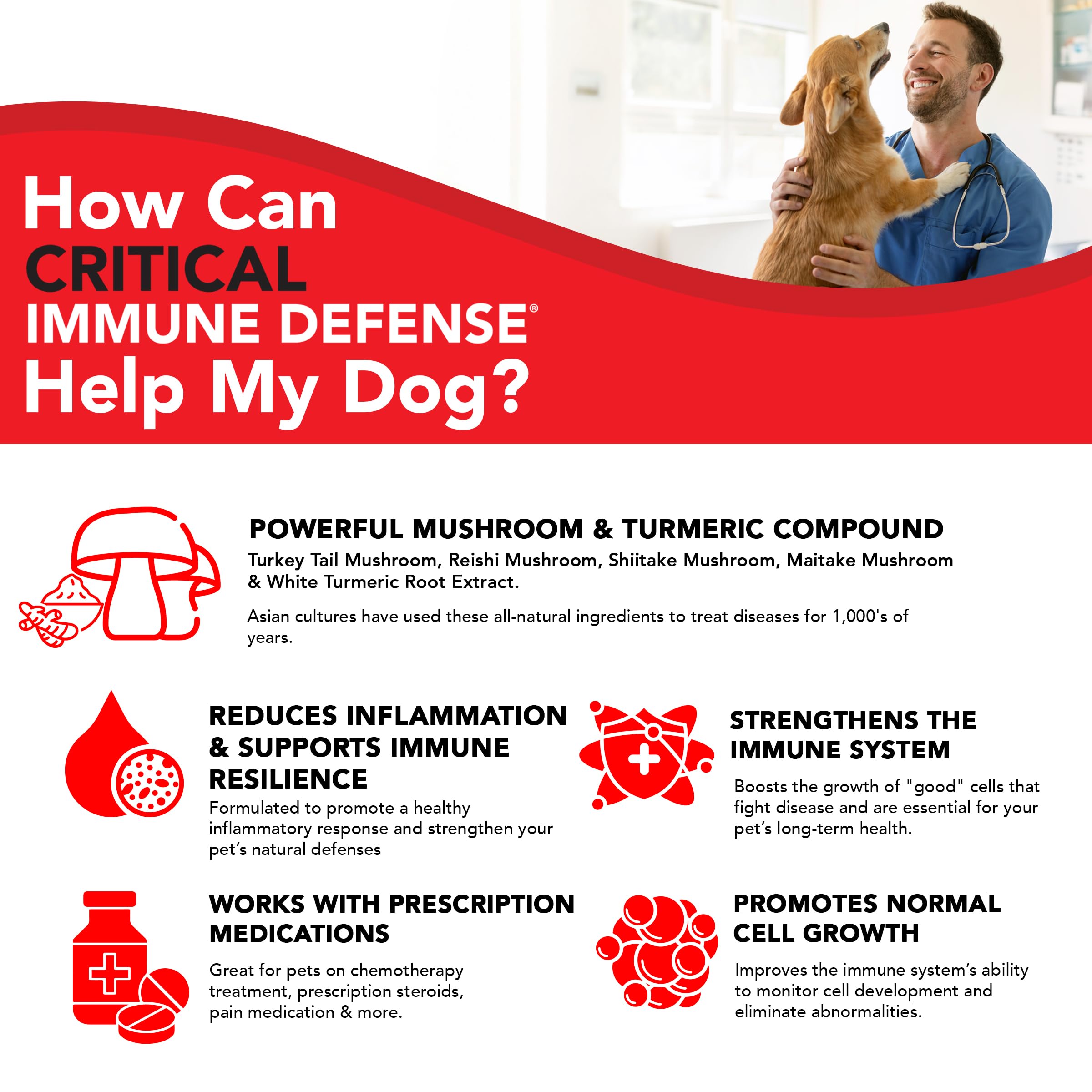 Pet image illustrating active dogs and cats benefiting from immune support