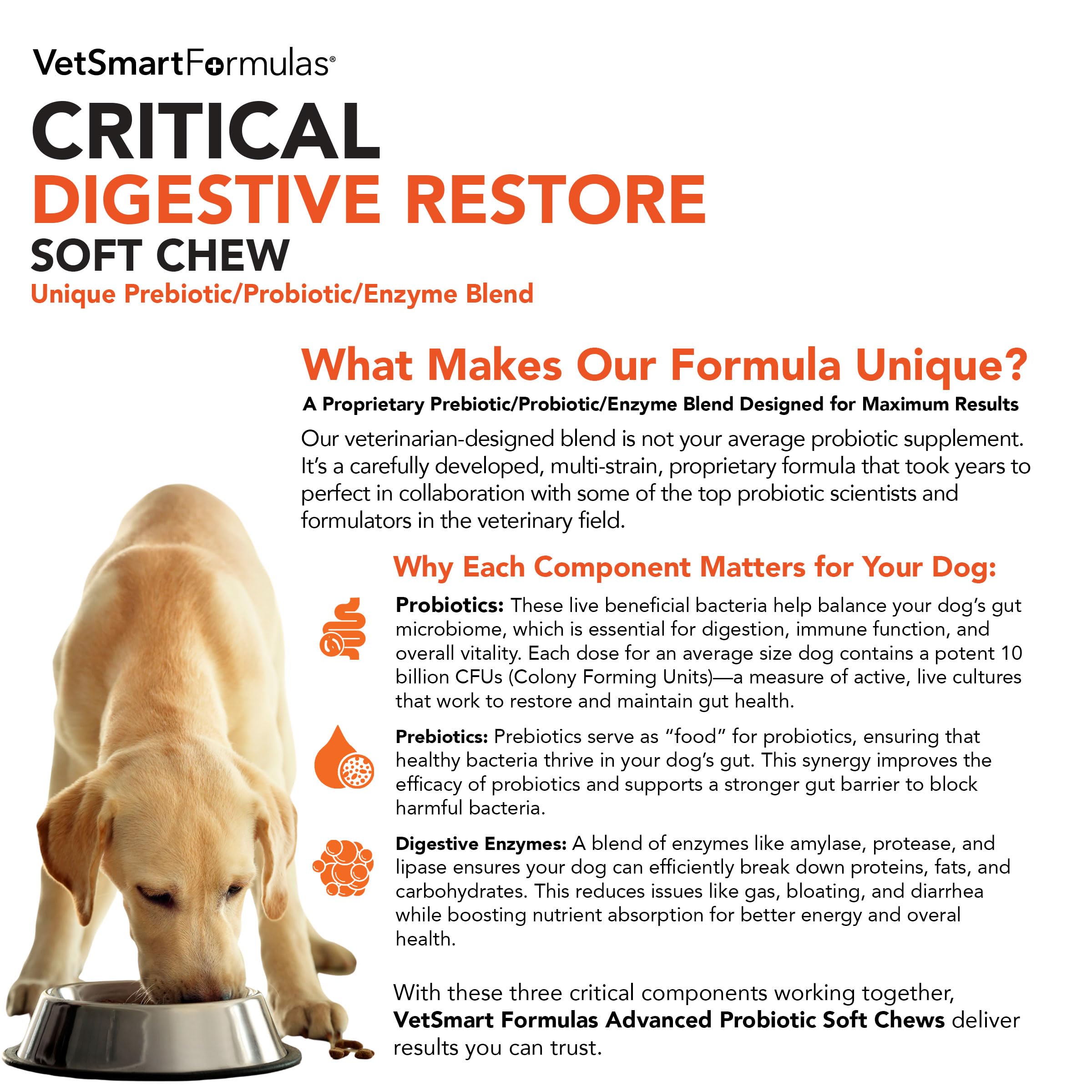 VetSmart Formulas probiotic dose scoop demonstrates convenient administration