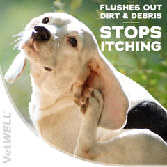 VetWELL ear cleaner used on a cat for safe daily ear care.