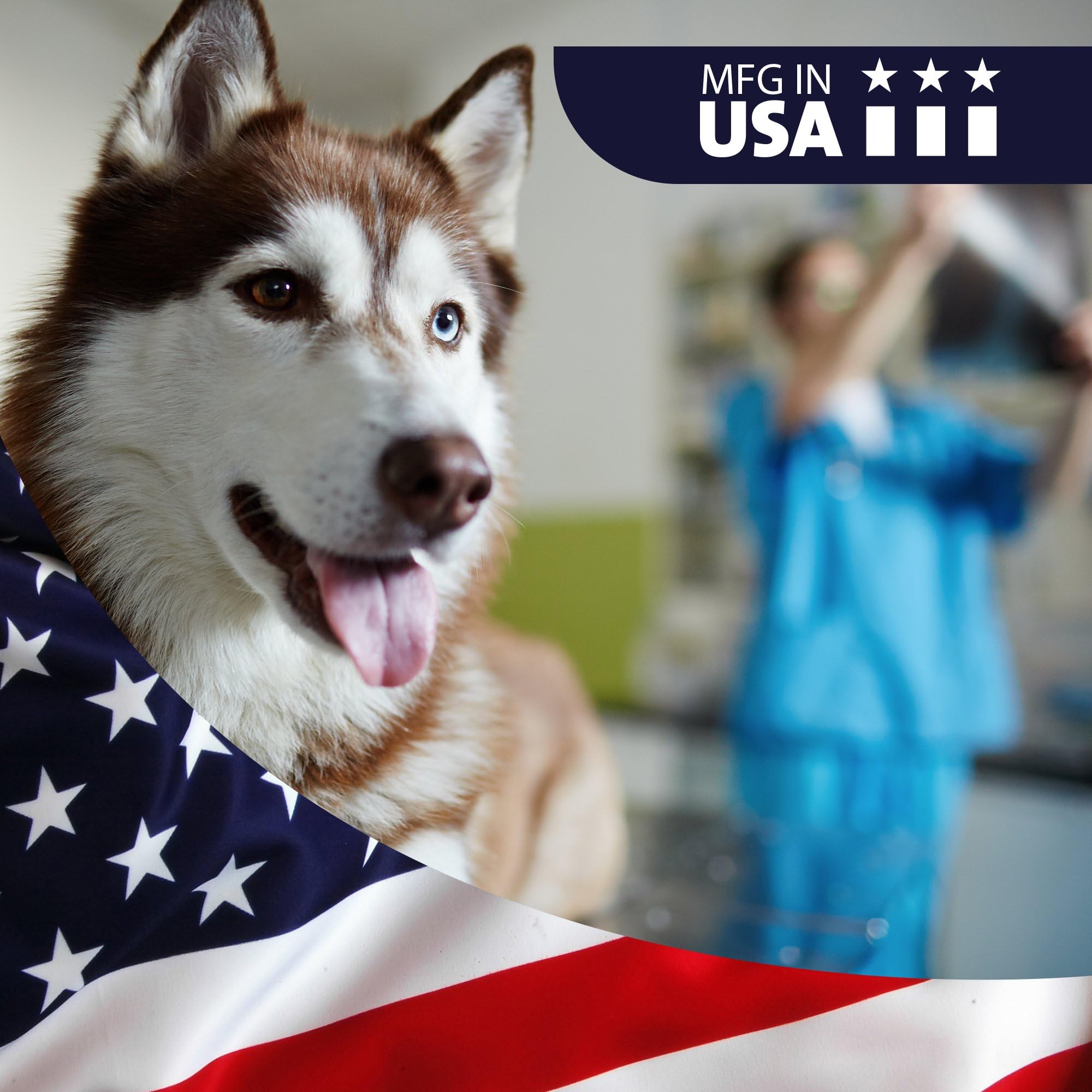 Pet comfort after ear cleaning during routine VetWELL care.