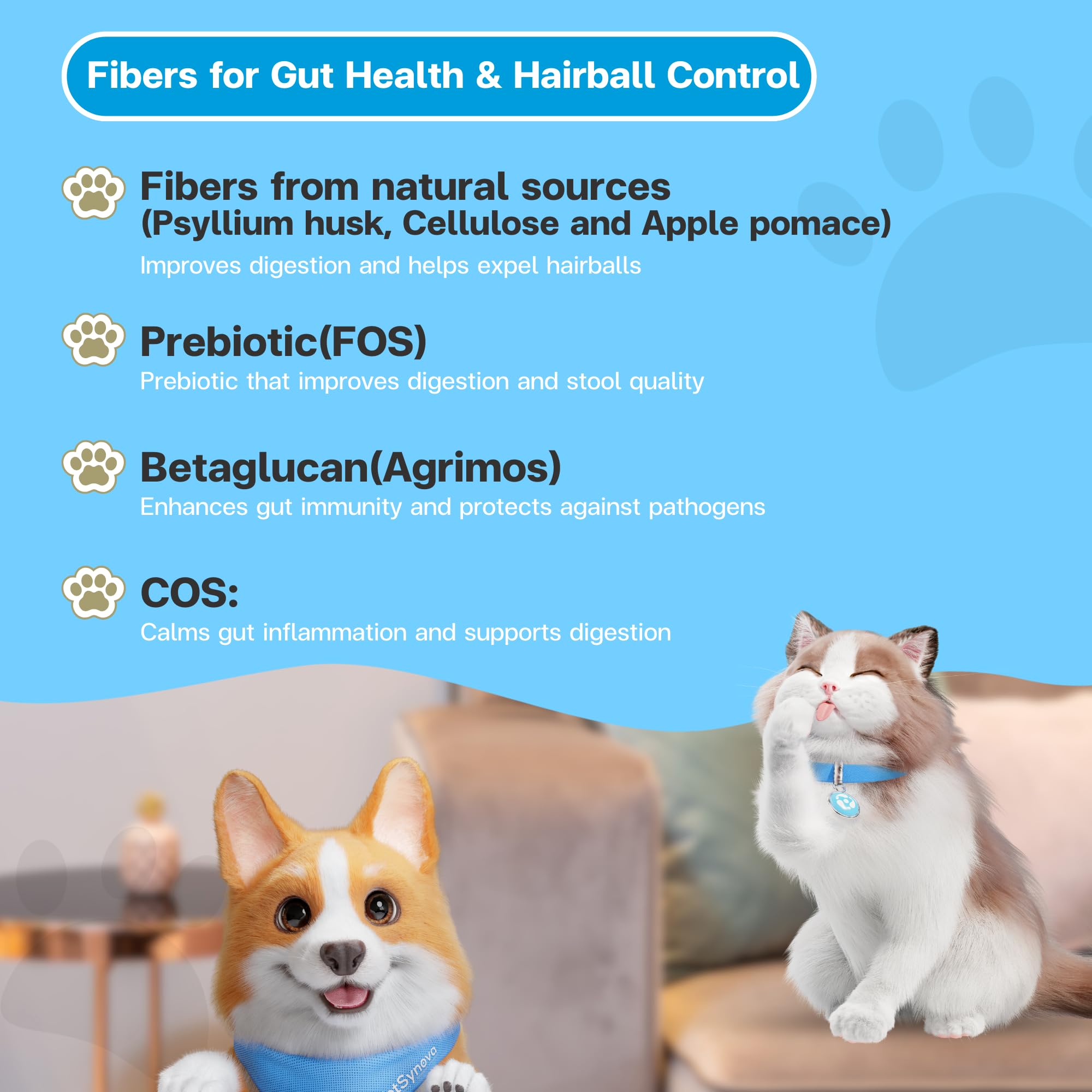 VFCARE Fiber cat-hairball-remedy-scene shows grooming-friendly routine.