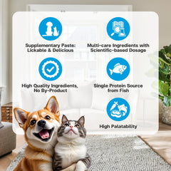 VFCARE Fiber dog-gut-health-scene suggests improved digestion.