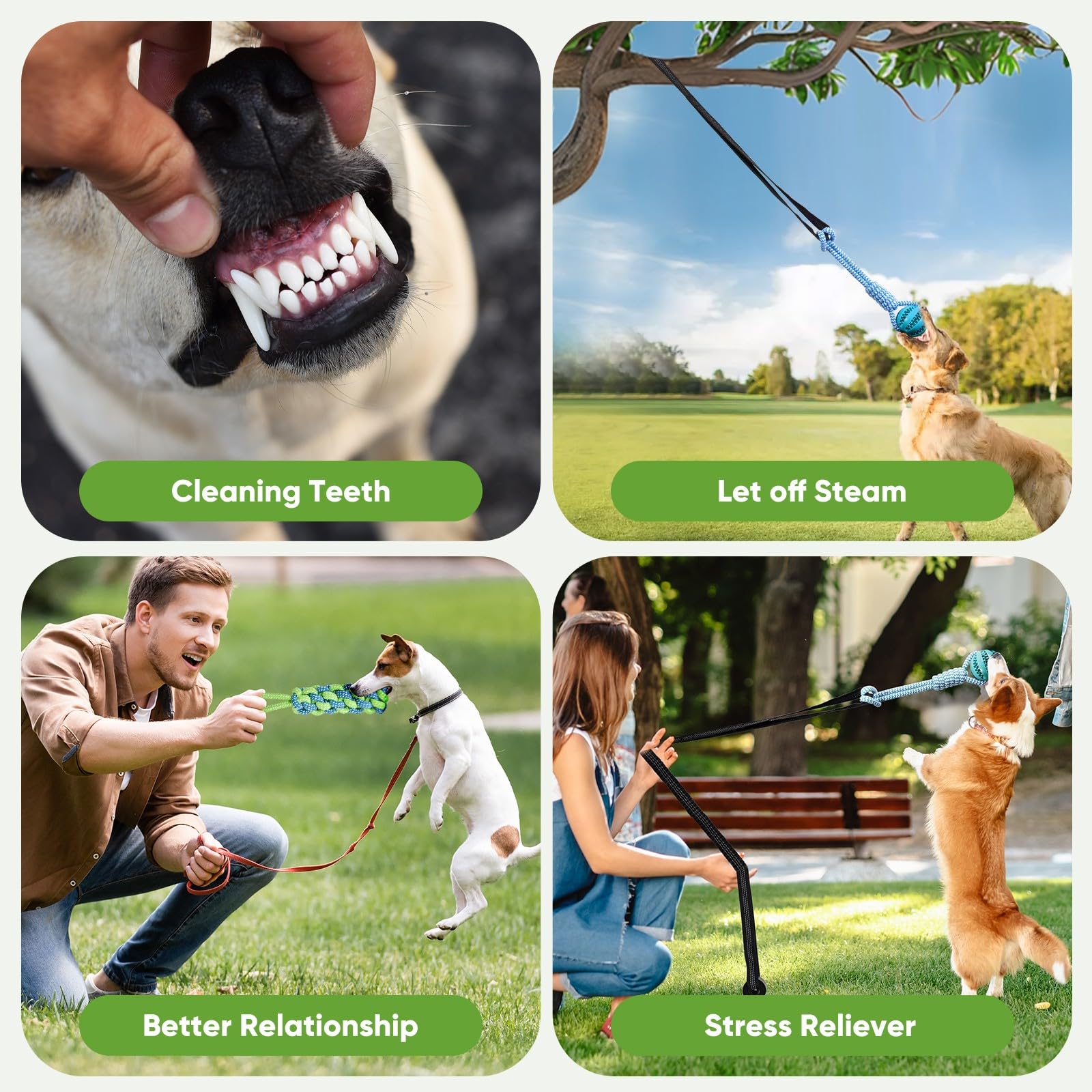VibeVerve dog-chew-ropes close-up promoting safe chewing during sessions