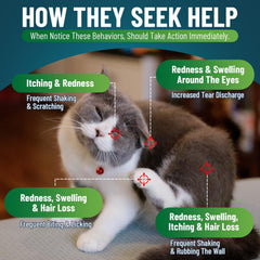 VICSOM chews on a hand, illustrating easy treat-like dosing for cats.