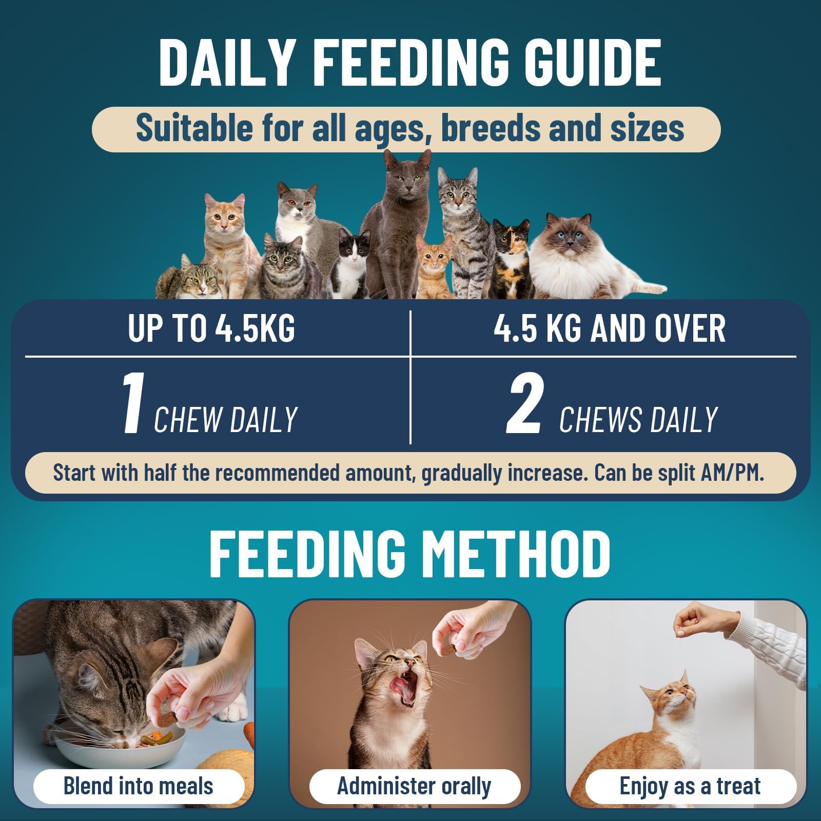 VICSOM digestive support ingredients help cats maintain gentle digestion and nutrient absorption