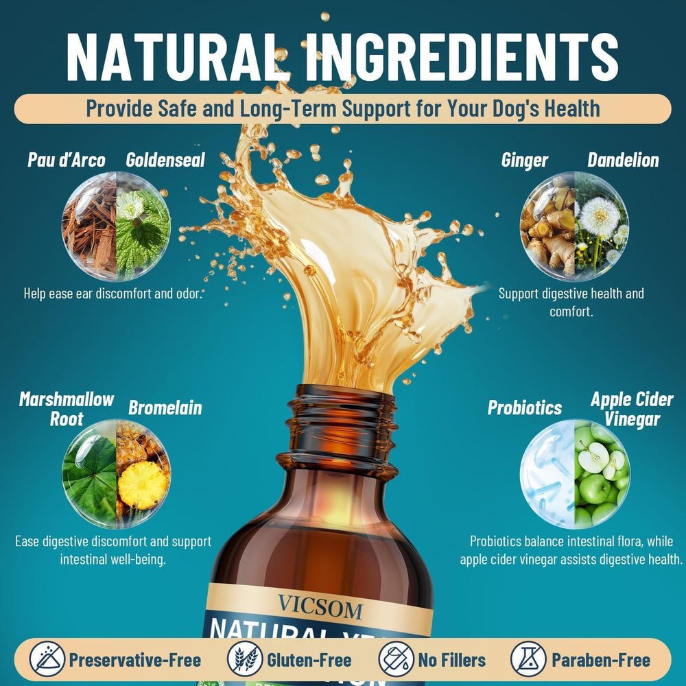 VICSOM ginger-dandelion-bromelain digestive support bottle indicates internal wellness.