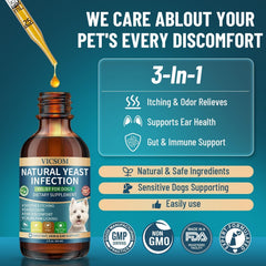 VICSOM ingredients illustrate gut and immune support potential through ginger, dandelion, and bromelain.