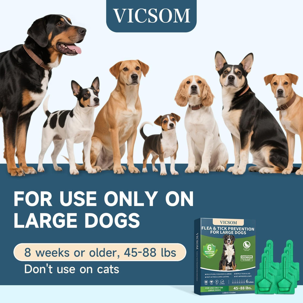 VICSOM outdoor activity shows continued protection during walks and play
