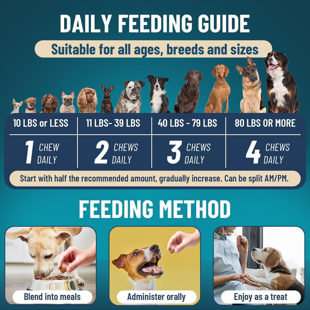 VICSOM senior-dog-safe-formula—gentle daily wellness for older dogs
