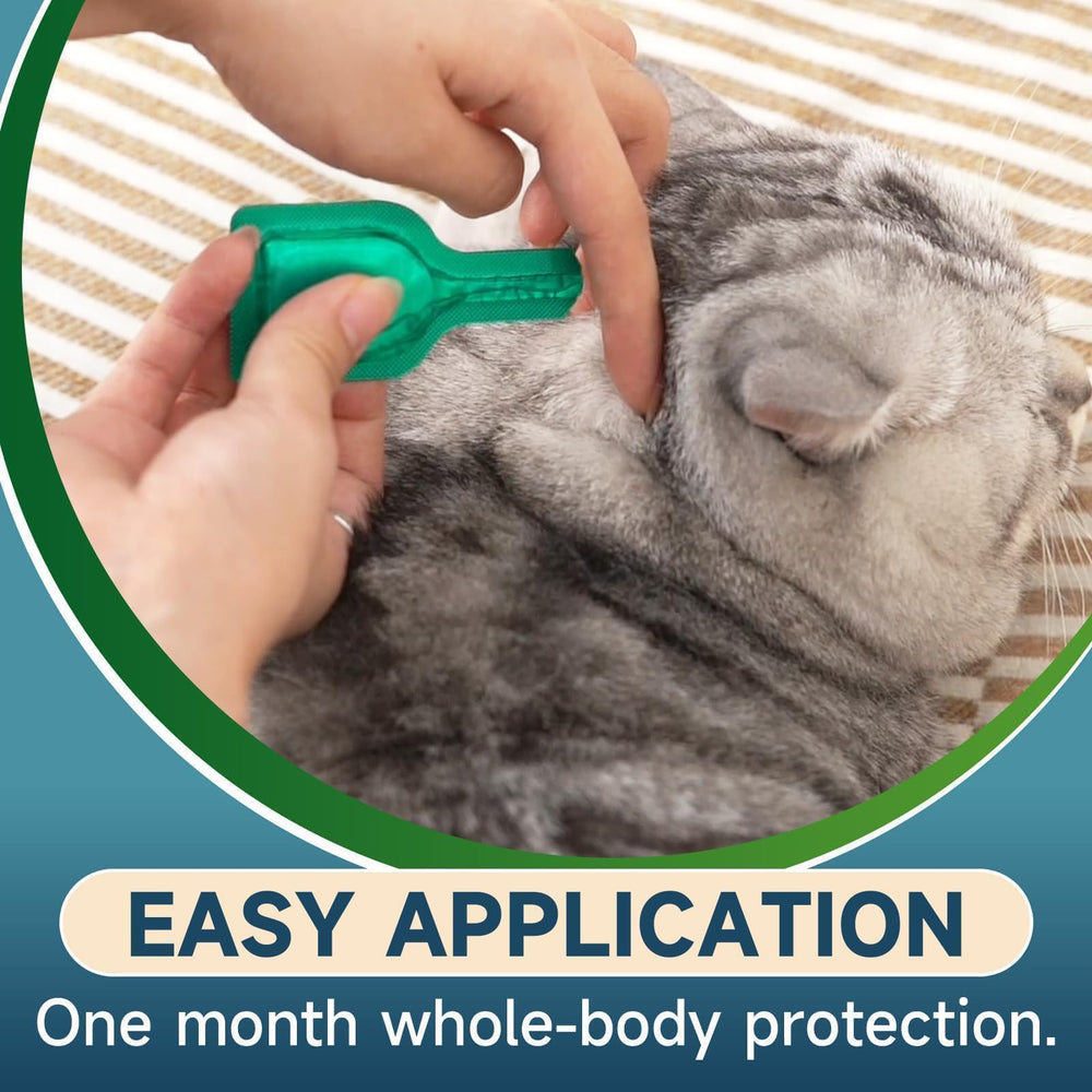 VICSOM waterproof protection within 24 hours keeps cats protected during rain or play.