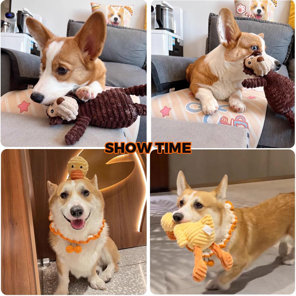 VIFINE 5-pack bundle variety of squeaky toys supports all breeds and home fun.