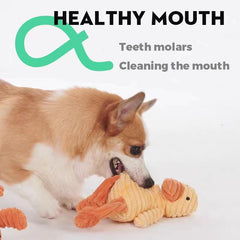 VIFINE crocodile plush squeaky toy with engaging texture for gripping and tossing.