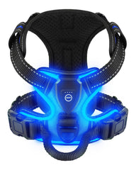 Villabliss Light Up Dog Harness blue front view highlighting safety illumination for night walks