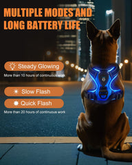 Villabliss light-up dog harness worn on a dog during a night walk with LEDs visible