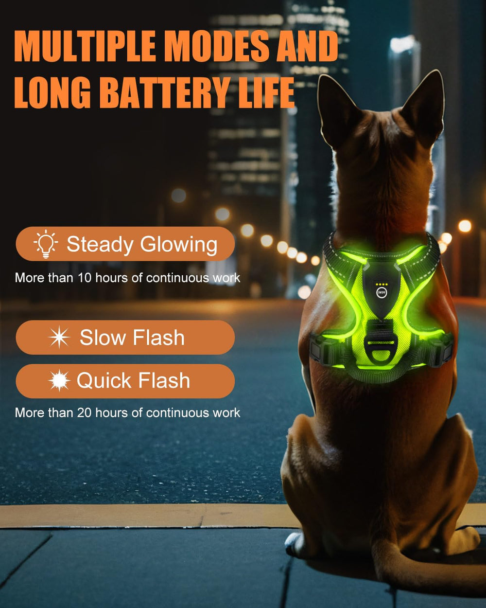 Villabliss light-up dog harness green back view with reflective straps for safer evening strolls