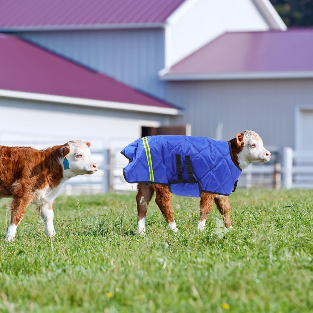 VILLCASE goat winter coat wear-resistant design for rugged farm use