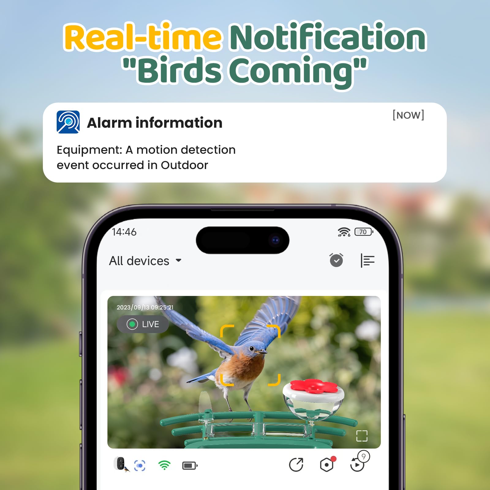 VIMKIM AI Recognition captures 5000+ species with clear identification during daytime birdwatching.