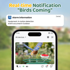 VIMKIM AI Recognition captures 5000+ species with clear identification during daytime birdwatching.