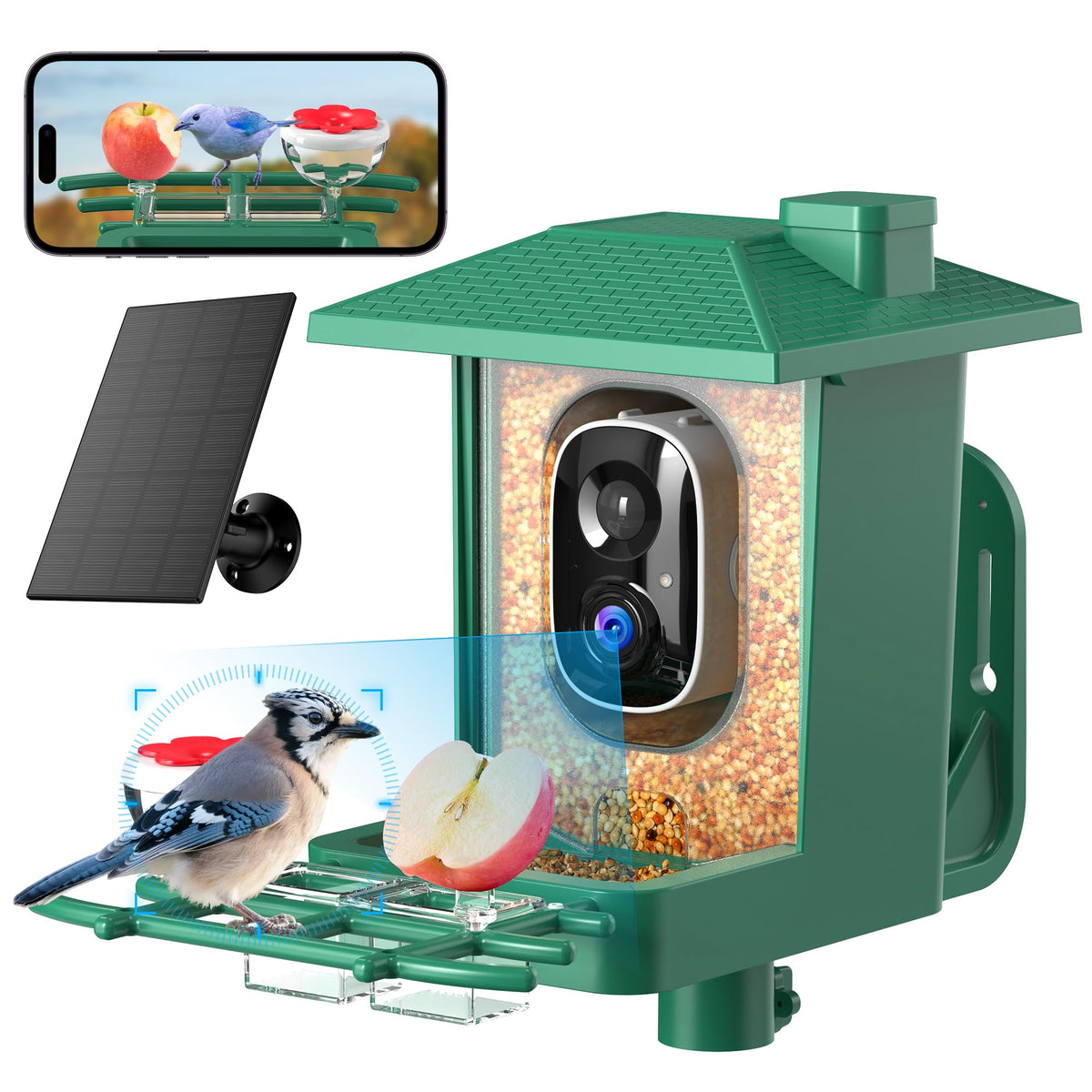 VIMKIM Bird Feeder with Camera shows 2K view of visiting birds at dawn.