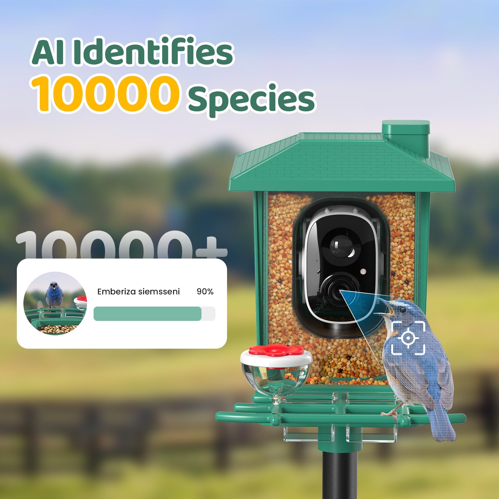 VIMKIM Two-Way Talk enables real-time chirps and gentle communication with visiting birds.