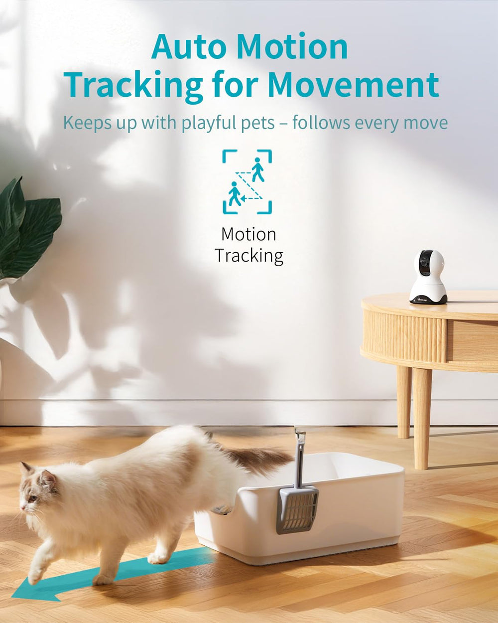 VIMTAG Night vision lets you see pets clearly after dark.