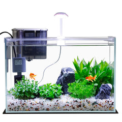 Vimvins 5-gallon glass tank front view showcases compact-space elegance.
