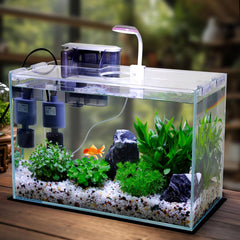 Vimvins betta tank with internal filter showcasing clear water filtration