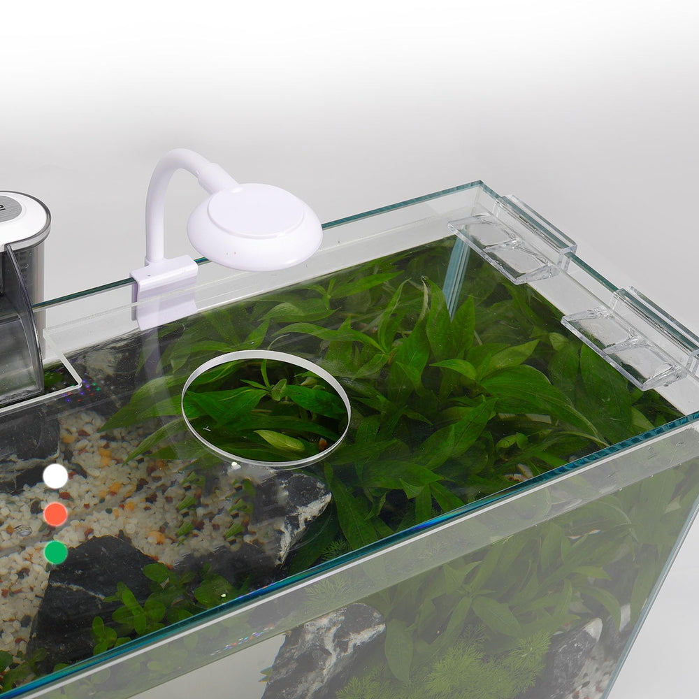 Vimvins compact aquascape preview demonstrates versatile starter kit appeal.