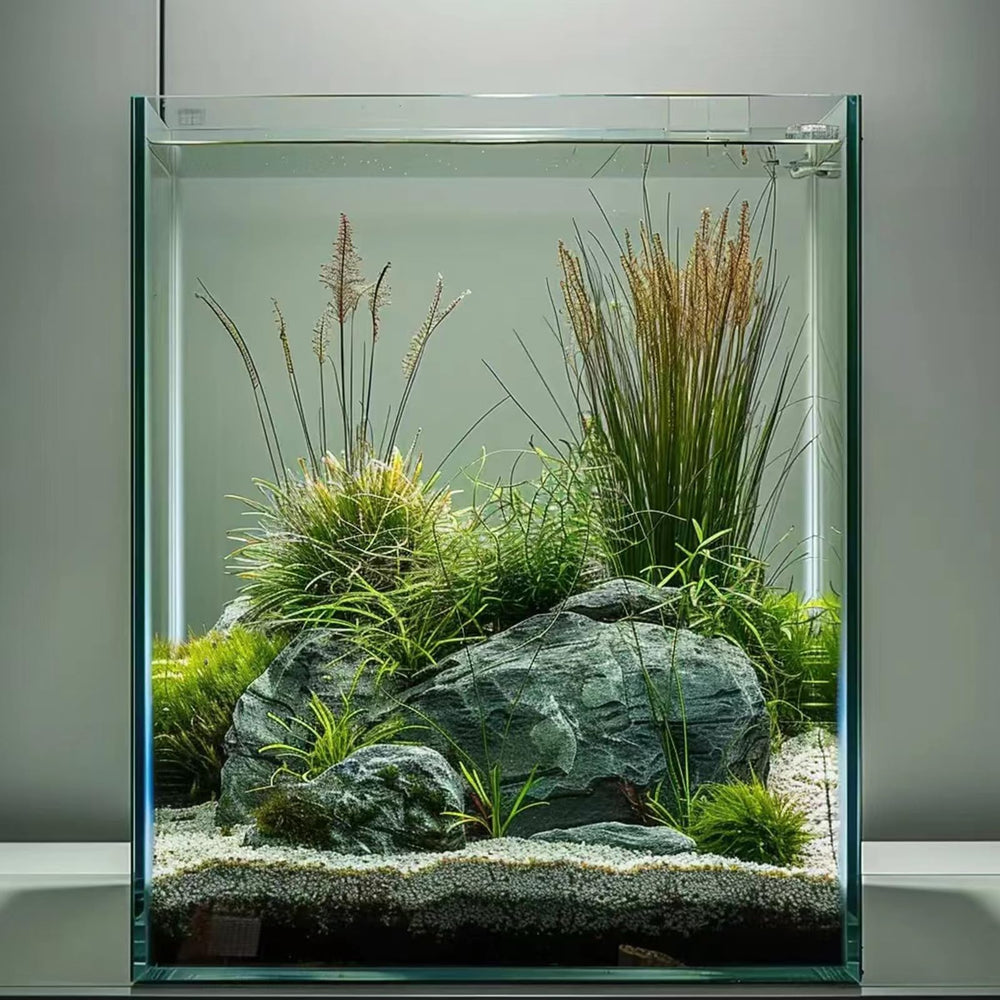 Vimvins front view 5-gallon glass tank provides clear viewing for betta and plants.