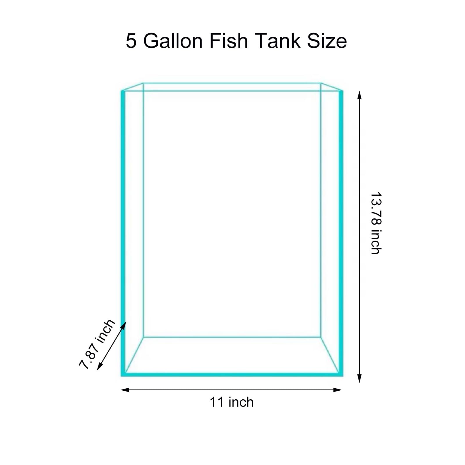 Vimvins polished edges 5-gallon tank enhances safety and desk protection.