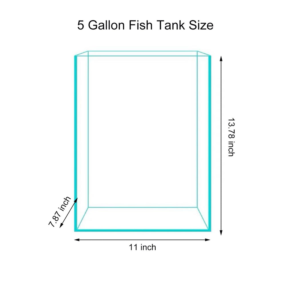 Vimvins polished edges 5-gallon tank enhances safety and desk protection.