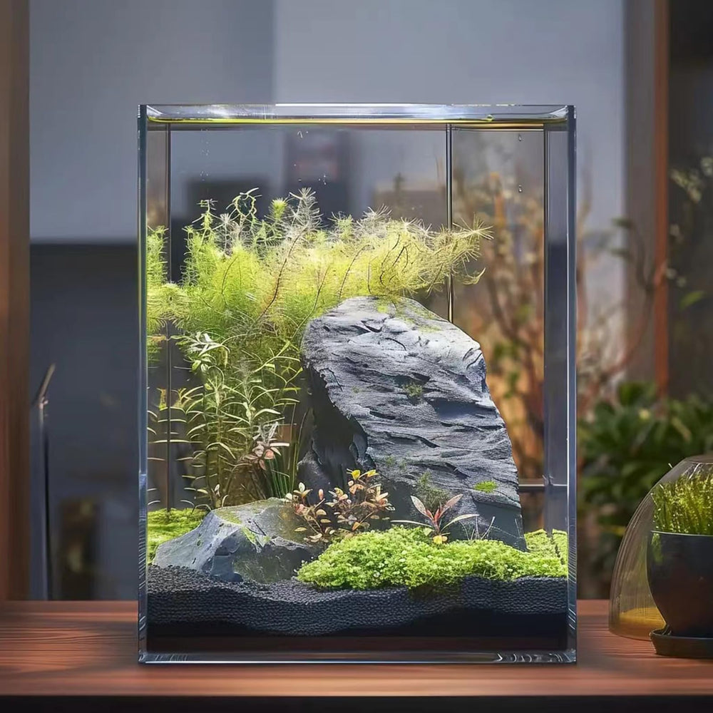 Vimvins side view 5-gallon glass tank fits desktop setups and small spaces.