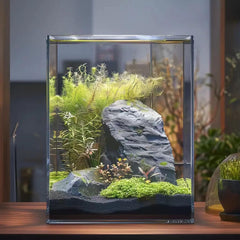 Vimvins side view 5-gallon glass tank fits desktop setups and small spaces.