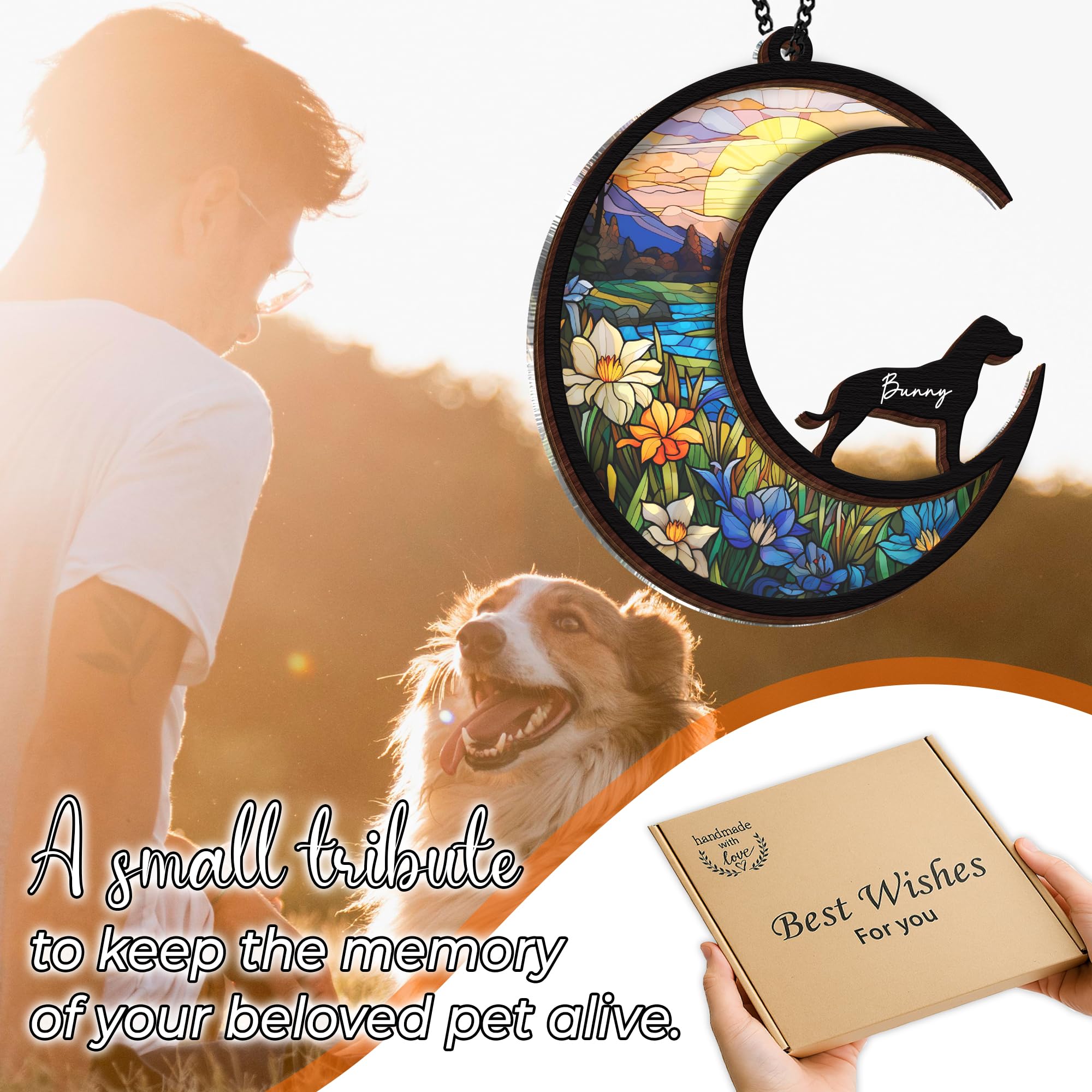 Vinatimes window display with sunlit reflections; honors a beloved canine companion