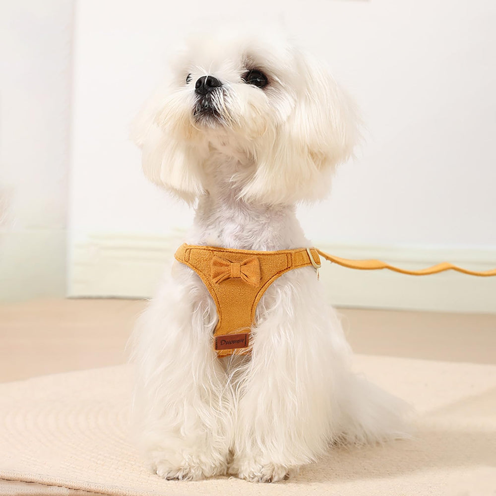 Vinqki anti-choking leash set, distributes pressure to reduce neck strain.