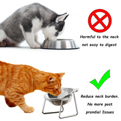 Vinqki elevated bowls anti-tipping base keeps bowls steady during feeding.