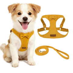Vinqki XS dog harness with yellow bowtie, stylish comfort for small dogs during walks.