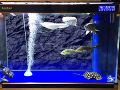 VIP Line 3D PVC background is self-adhesive for quick installation.